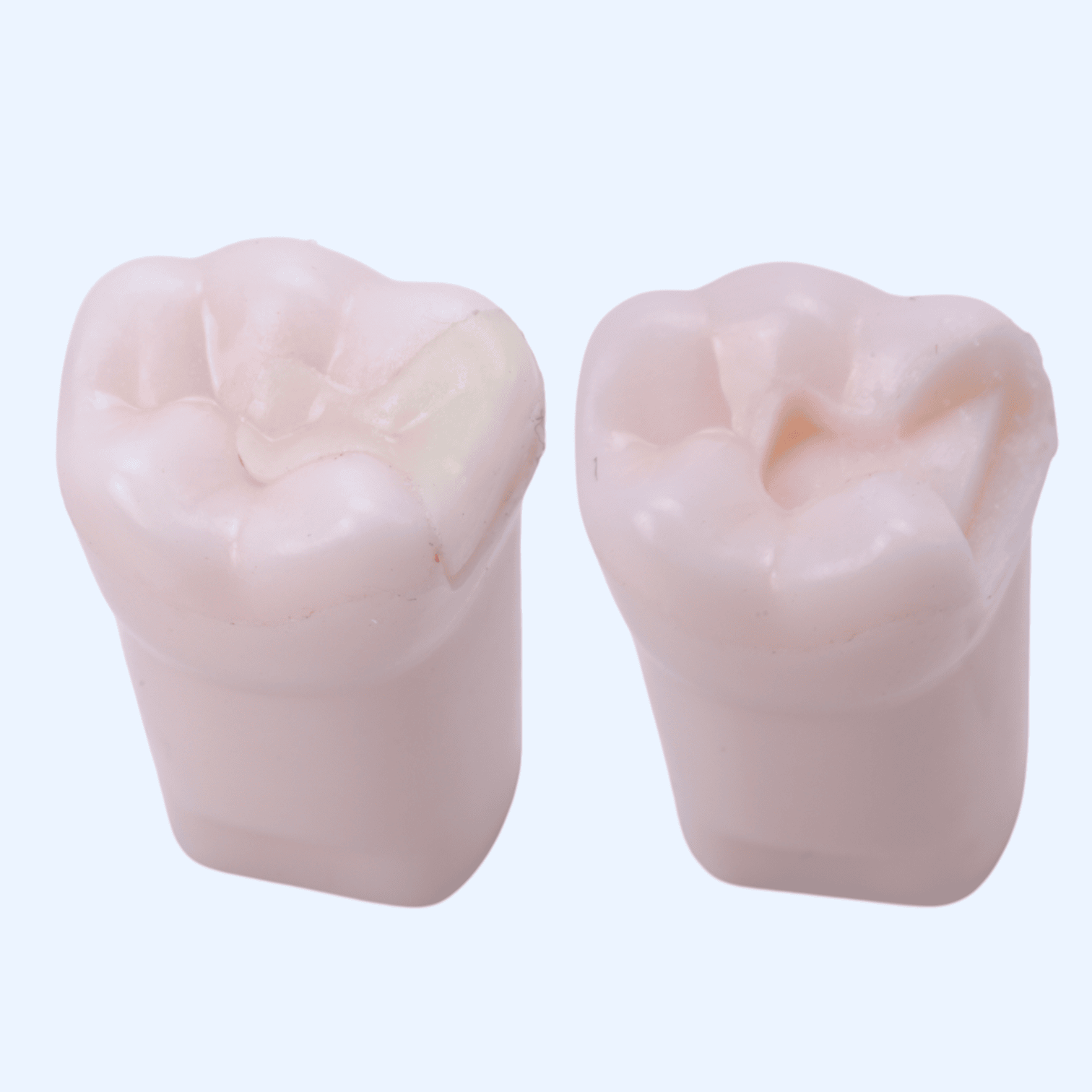 Модель зуб з вкладкою